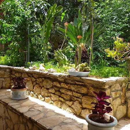 Mila La Kástro Tornéze