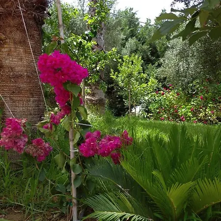 Gæstehus Mila La Kástro Tornéze