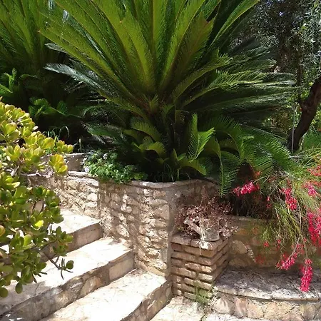 Mila La בית הארחה Kástro Tornéze