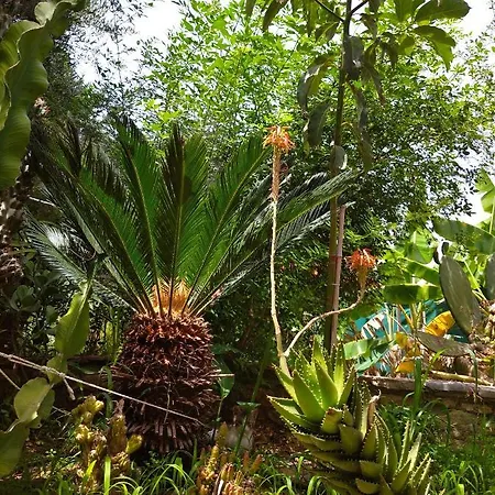 Mila La בית הארחה Kástro Tornéze