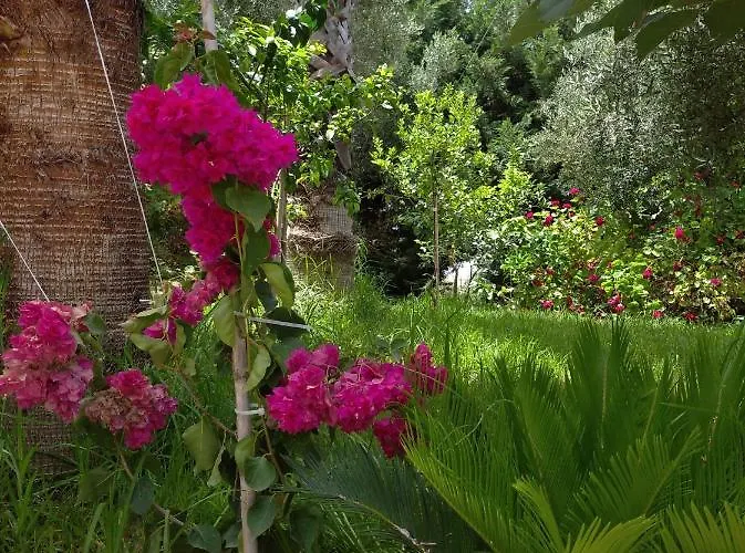 Pensionat Mila La Kástro Tornéze