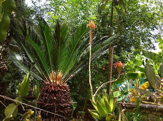 Mila La Pensionat Kástro Tornéze